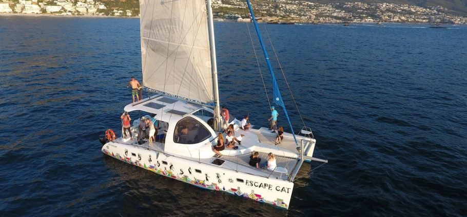 Champagne Catamaran Cruise and Dinner in Cape Town-2